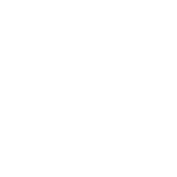 Werte_V2_-01 fokussiert - Icon