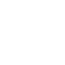Werte_V2_-03 zuverlässig - Icon