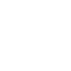 Werte_V2_-04 proaktiv - Icon